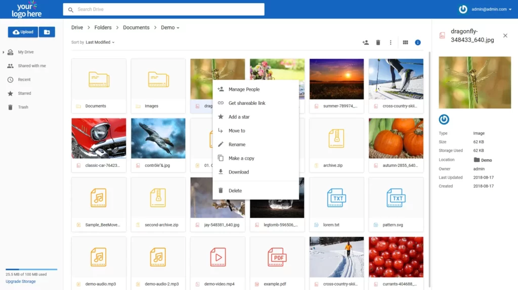 SRS Self Hosted cloud storage example