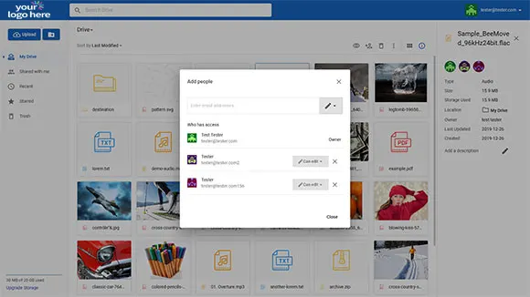 SRS Self Hosted cloud storage example 2