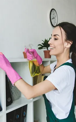 house cleaning